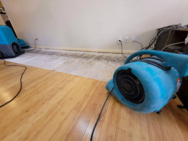 Professional Basement Flood Cleanup technician working in Woodhaven, NY